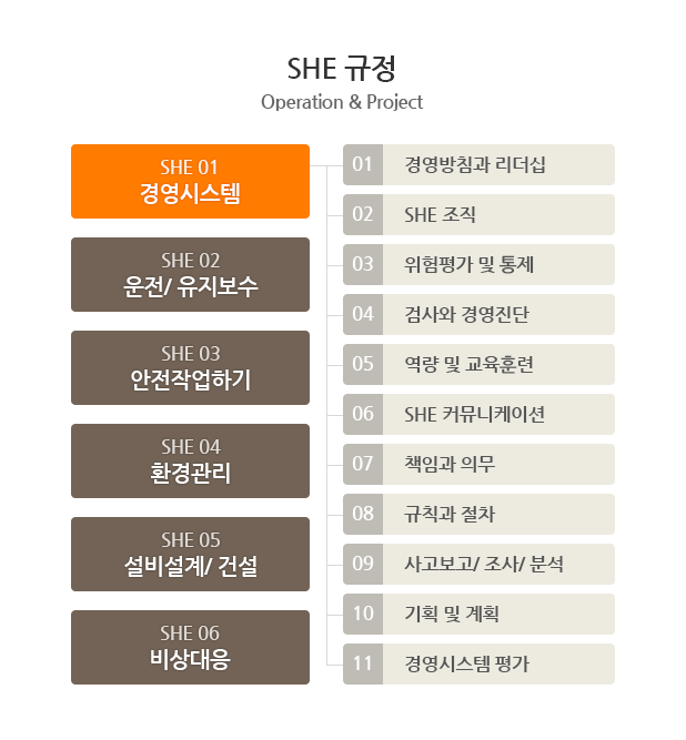 SHE 01경영시스템(01 경영방침과 리더십, 02 SHE 조직, 03 위험평가 및 통제, 04 검사와 경영진단, 05 역량 및 교육훈련, 06 SHE 커뮤니케이션, 07 책임과 의무, 08 규칙과 절차, 09 사고보고/ 조사/ 분석, 10 기획 및 계획, 11 경영시스템 평가), SHE 02운전/ 유지보수, SHE 03안전작업하기, SHE 04환경관리, SHE 05설비설계/ 건설, SHE 06비상대응