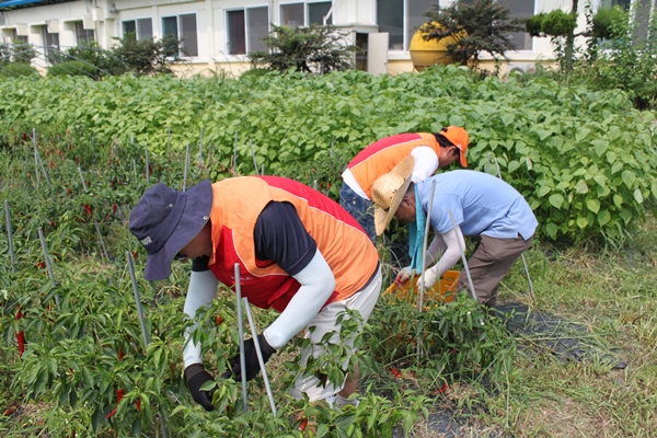 영남ES（구미）, 도개 사랑의 쉼터 봉사활동