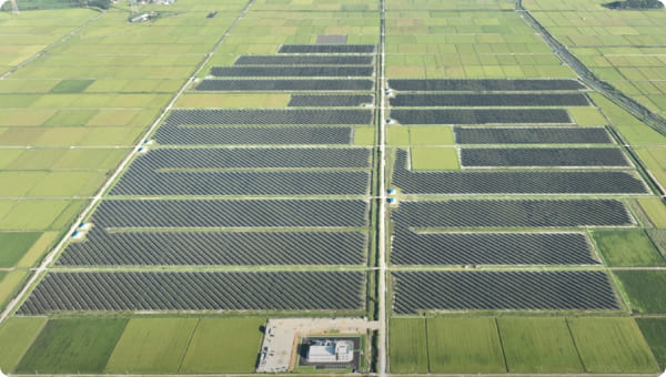태양광 발전단지